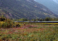 Denali Rail Way