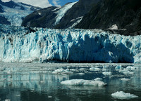 Glacier Bay Icebergs