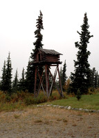 Lookout Log Tower