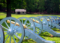 Canons at Valley Forge