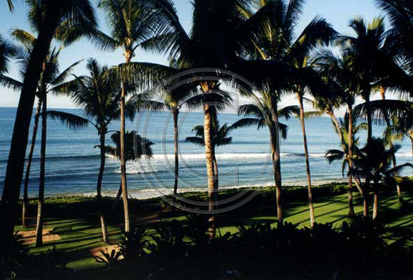 Maui Hyatt