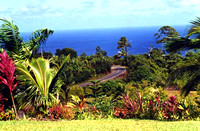 Maui Garden and Highway