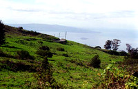 Haleakala Pastures