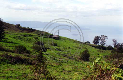 Haleakala Pastures