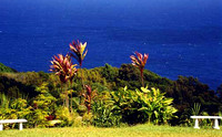 Maui Garden